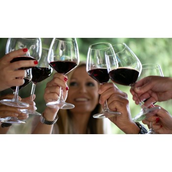 Degustazione del migliore Primitivo delle Murge