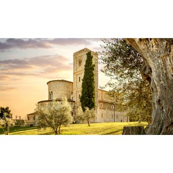 Hiking nelle vigne del Brunello di Montalcino e pranzo