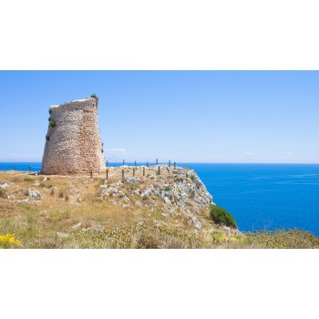 Cisternino: esperienza sensoriale tra aromi e sapori