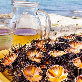 Birdwatching e pic-nic sulla spiaggia in Salento Birdwatching e pic-nic sulla spiaggia in Salento