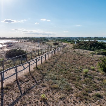 Birdwatching e pic-nic sulla spiaggia in Salento Birdwatching e pic-nic sulla spiaggia in Salento