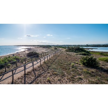 Birdwatching e pic-nic sulla spiaggia in Salento
